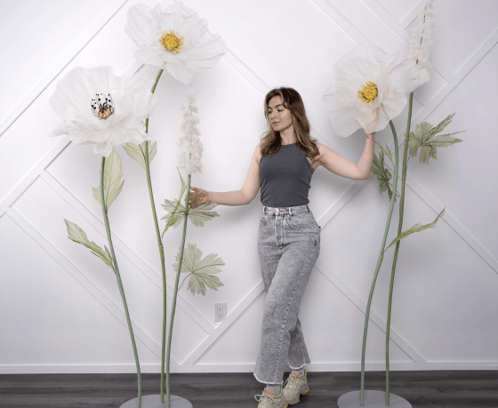 Elevate Your Space