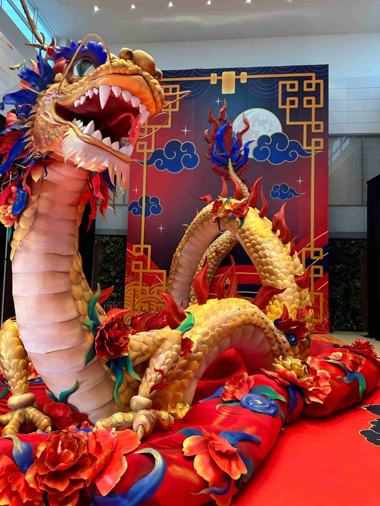 Dragon for STC 8