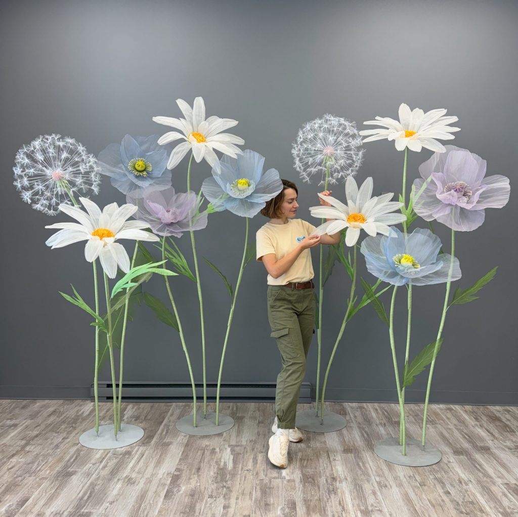 SUMMER FIELD FLOWERS SET 1