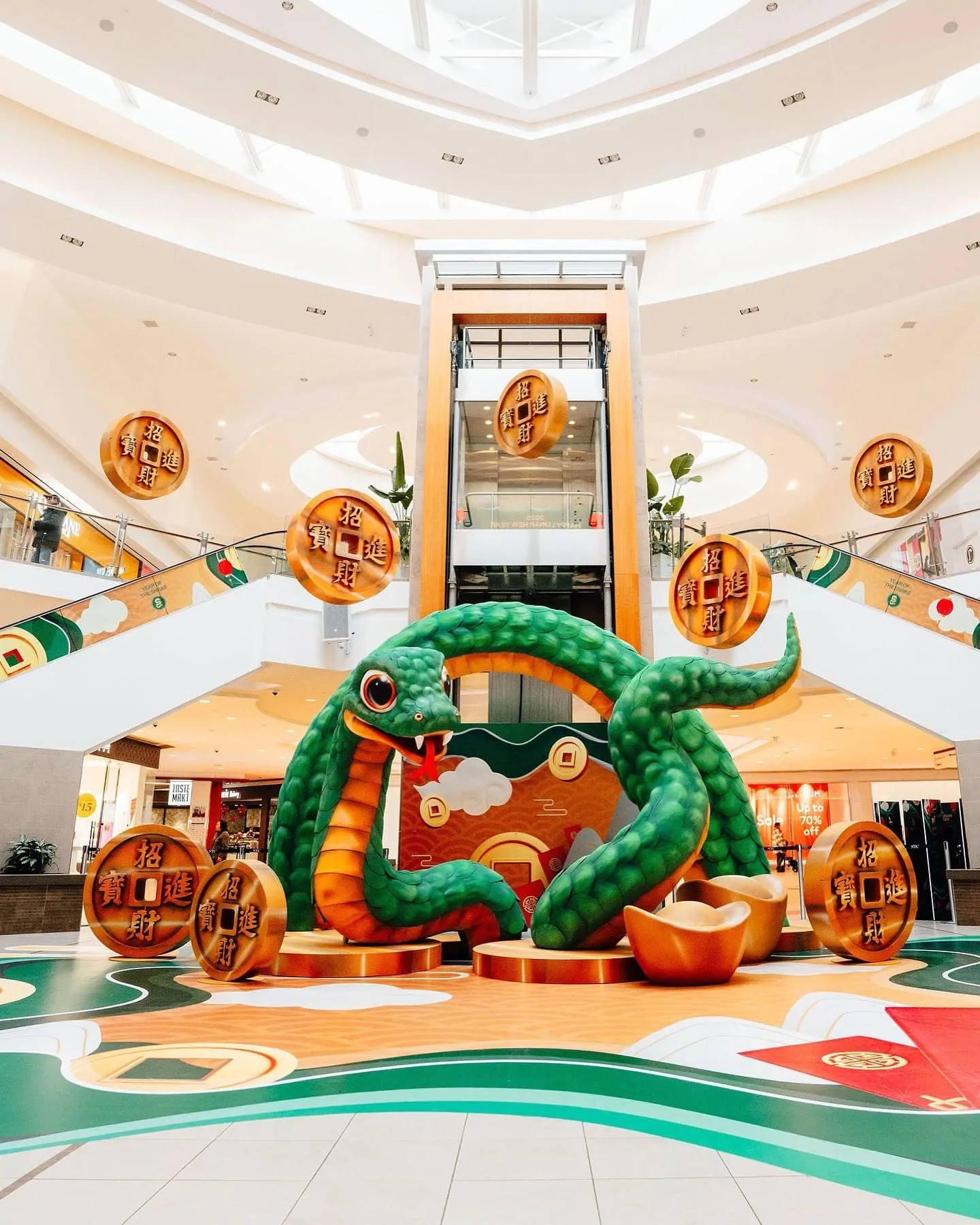 Snake Scarborough town centre 1