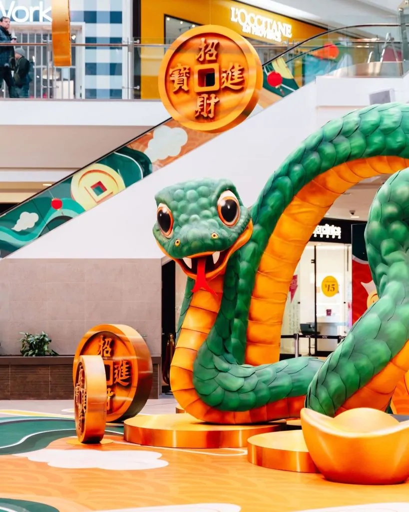 Snake Scarborough town centre