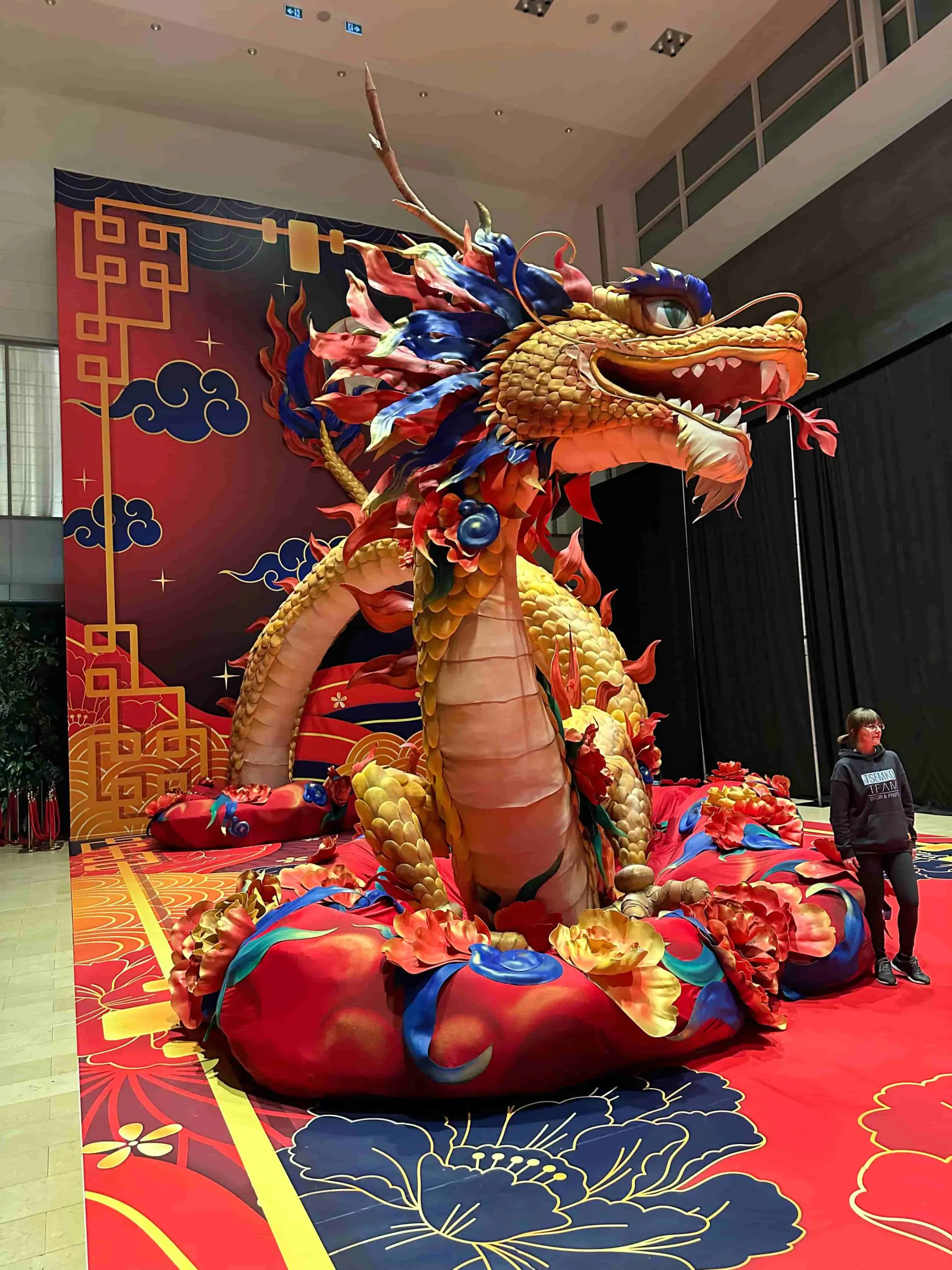 Dragon for STC 10